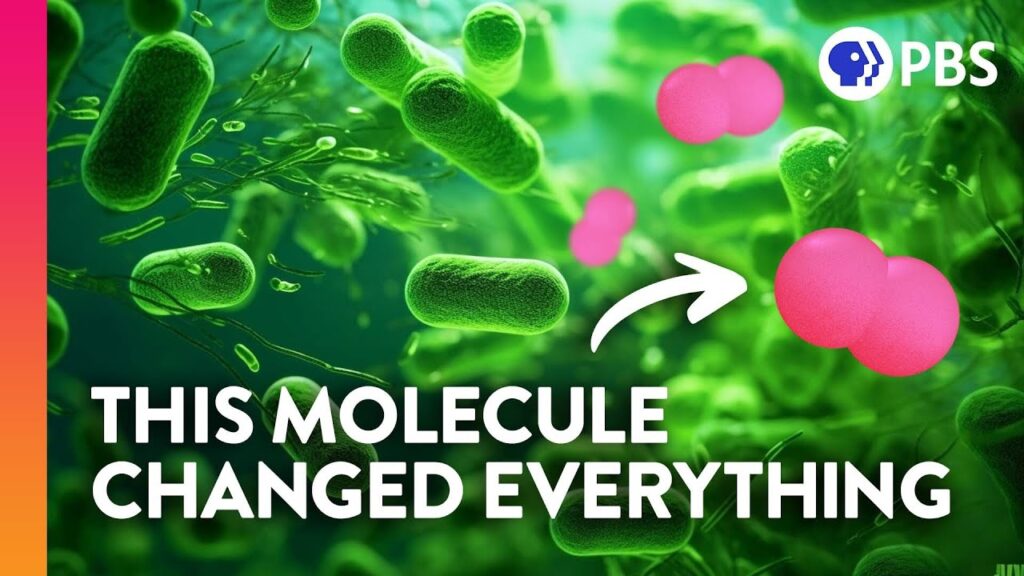 Chemistry The Deadly Chemistry That Made Life Interesting