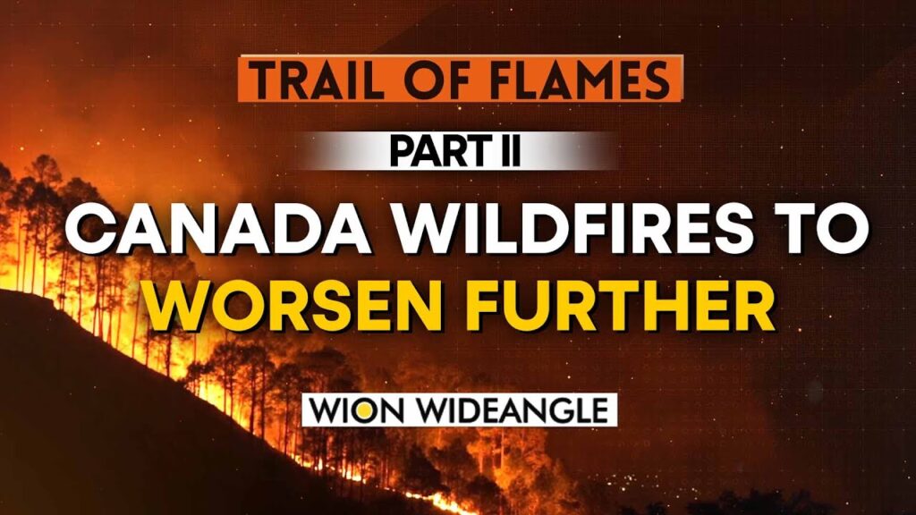 India, Pollutant, Pollution, Heat wave What is causing wildfires? United states on alert| Part 2 WION Wideangle