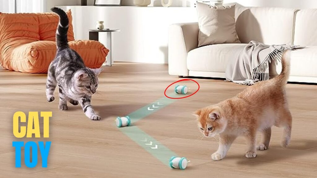 Top 10 Interactive Cat gadget Review - BEGINNER'S CAT  OWNER